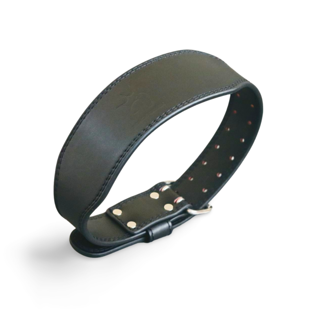 PQ Weight Lifting Belt